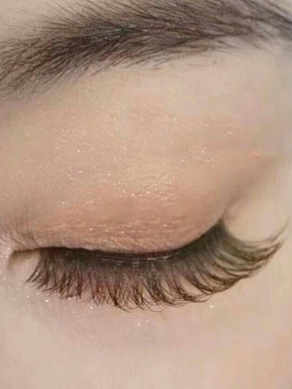 MLEN Soft Magnetic Eyelash Extensions -  Honey Camellia Flower Style